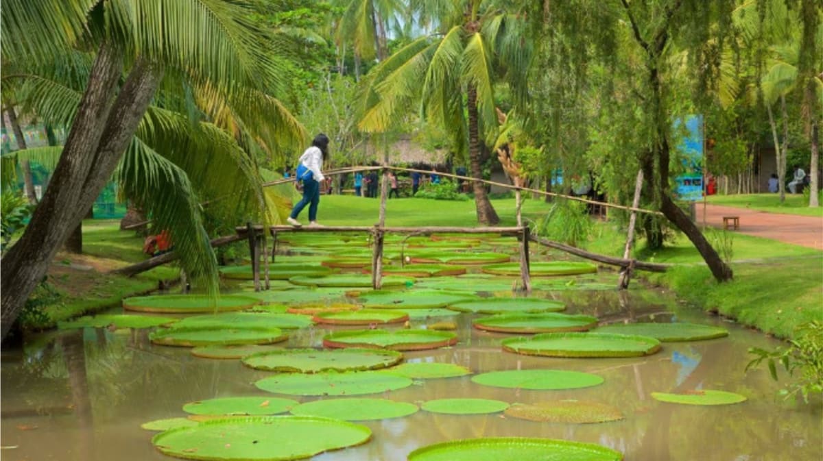 Private tour: Thanh Da Peninsula with local guide - Image 1