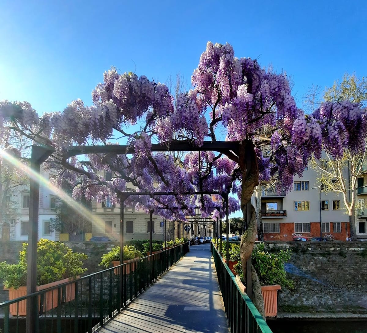 Orti del Parnaso