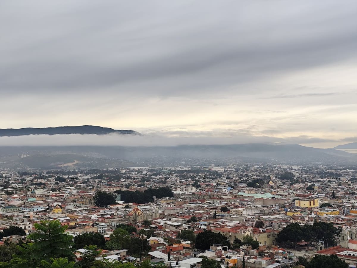 Private tour: Cerro del Fortín with local guide - Image 1