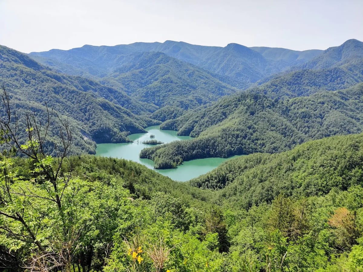 Private tour: Foreste Casentinesi with local guide - Image 1