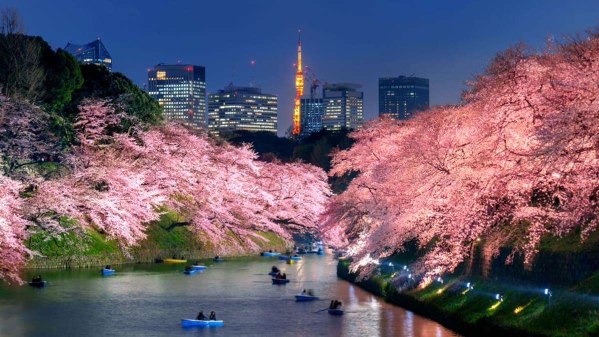 Chidorigafuchi Moat