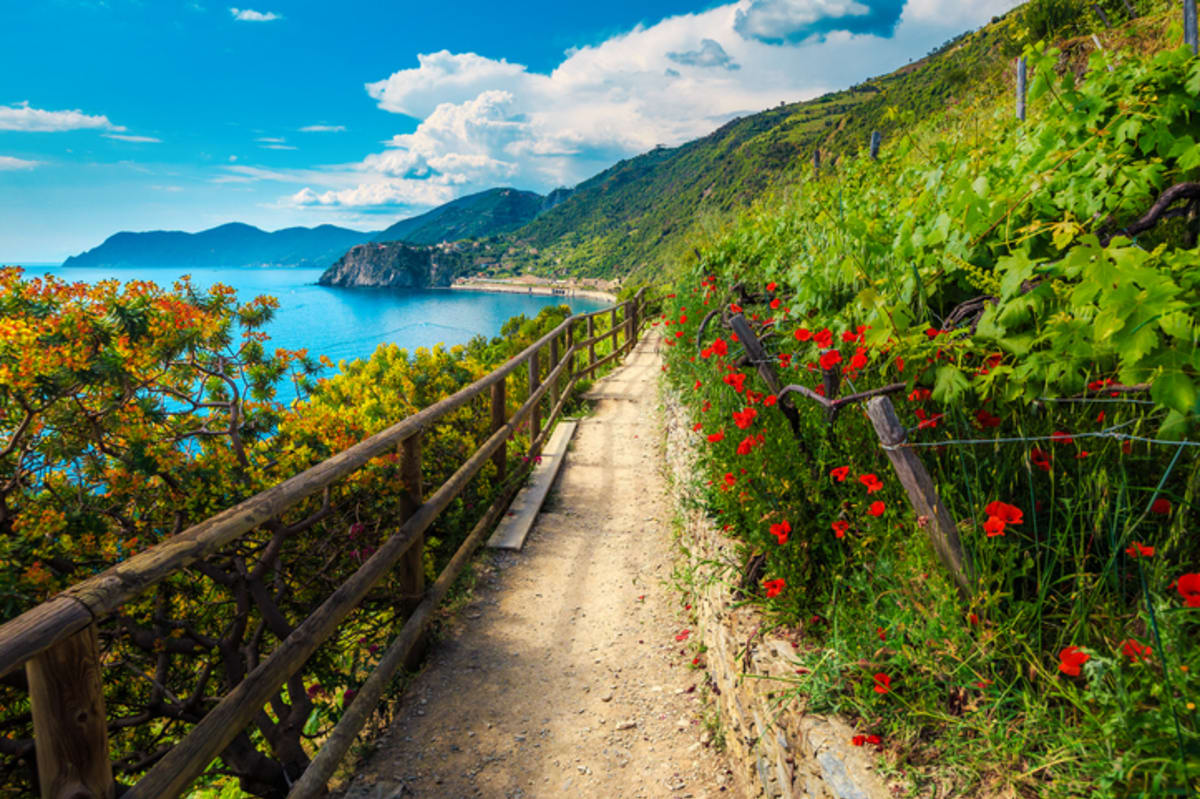 Private tour: Cinque Terre with local guide - Image 1