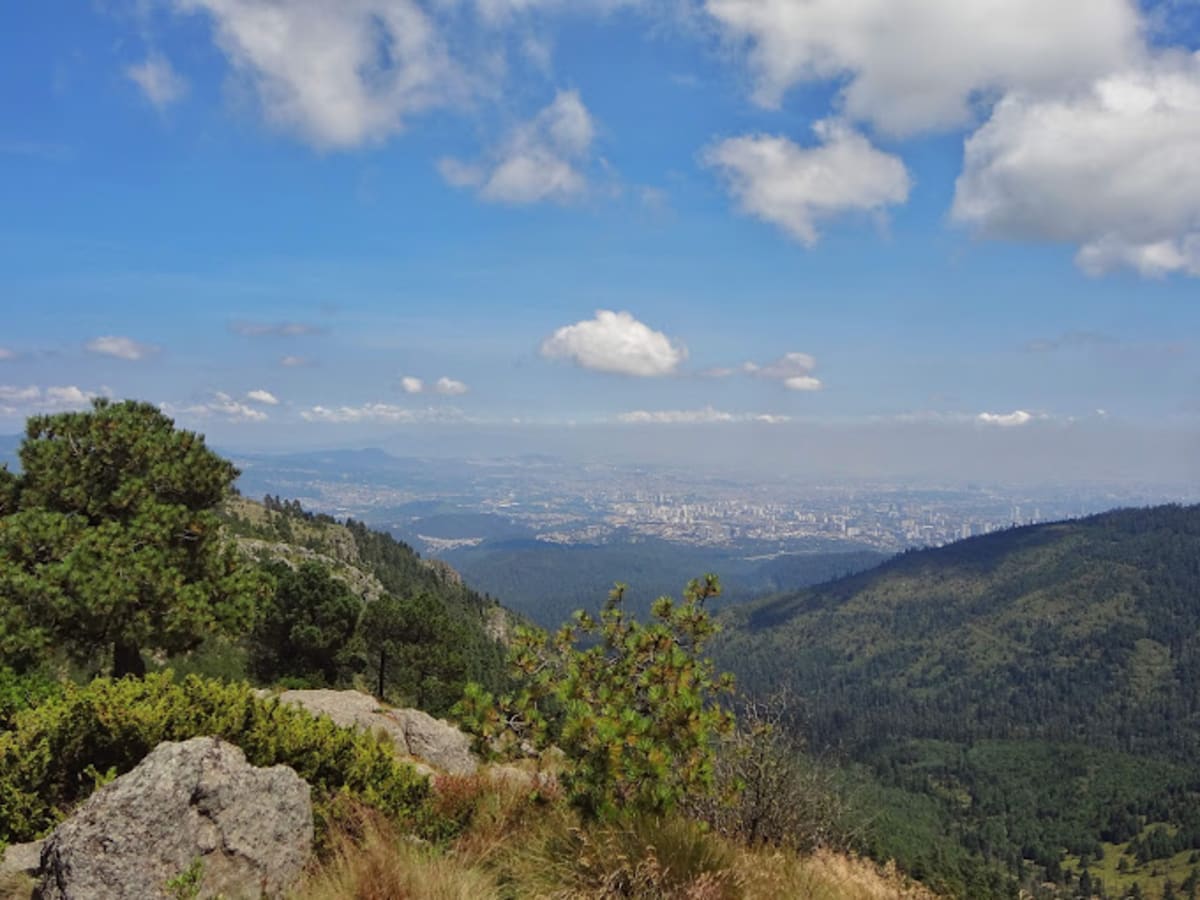 Desierto de los Leones National Park