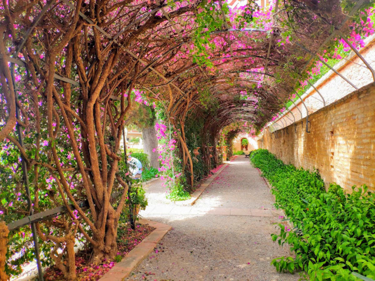 Jardins de Montfort