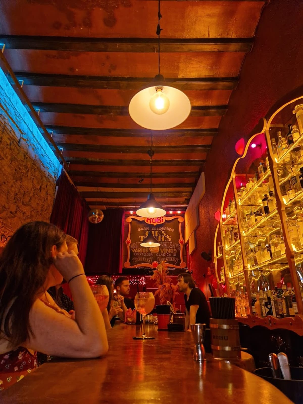 Private tour: RUBI Gin Bar with local guide - Image 1