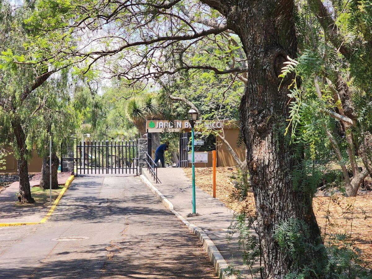 UNAM Botanical Garden