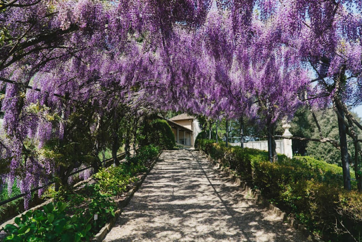 Villa Bardini