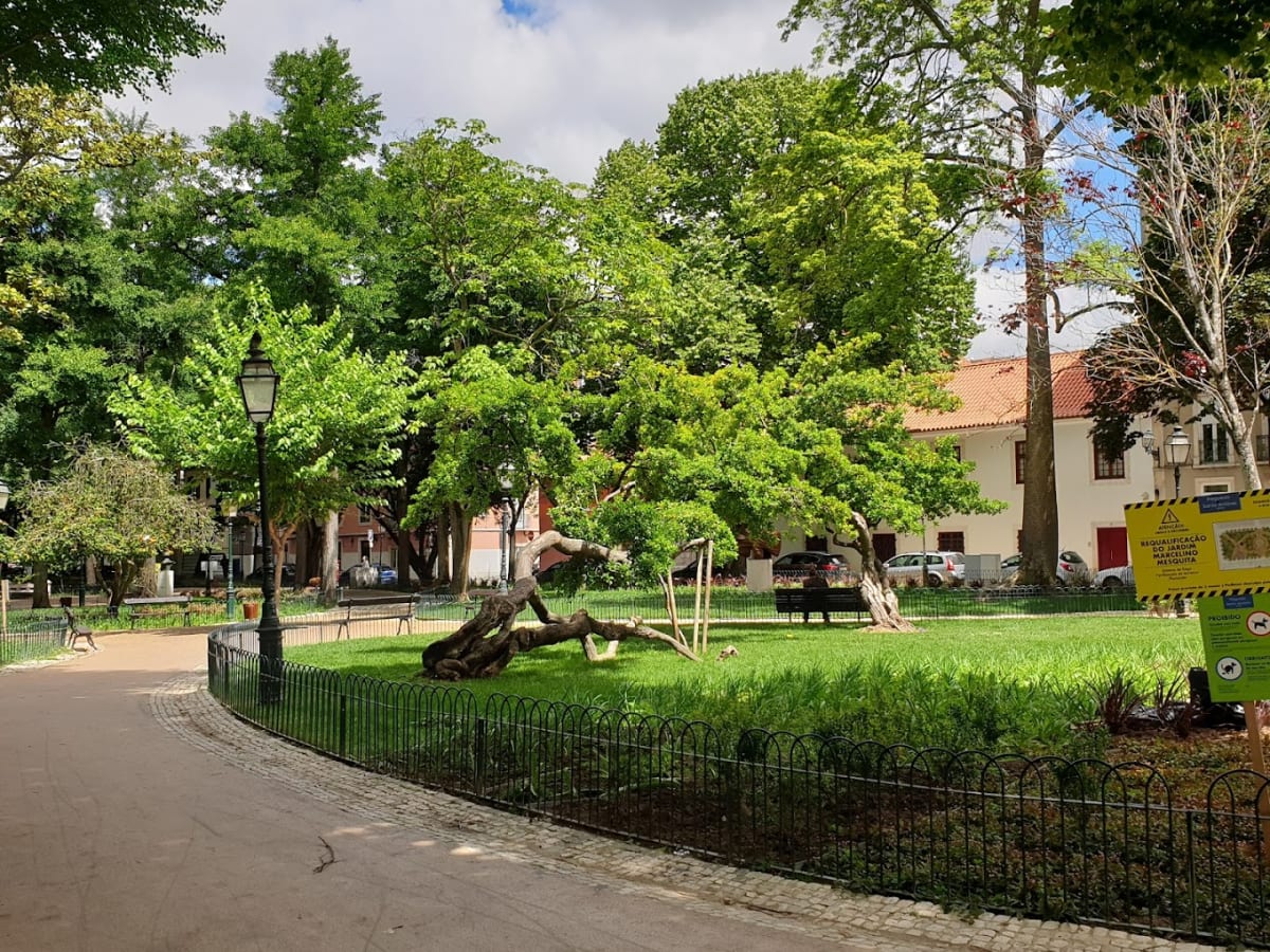Private tour: Jardim das Amoreiras with local guide - Image 1