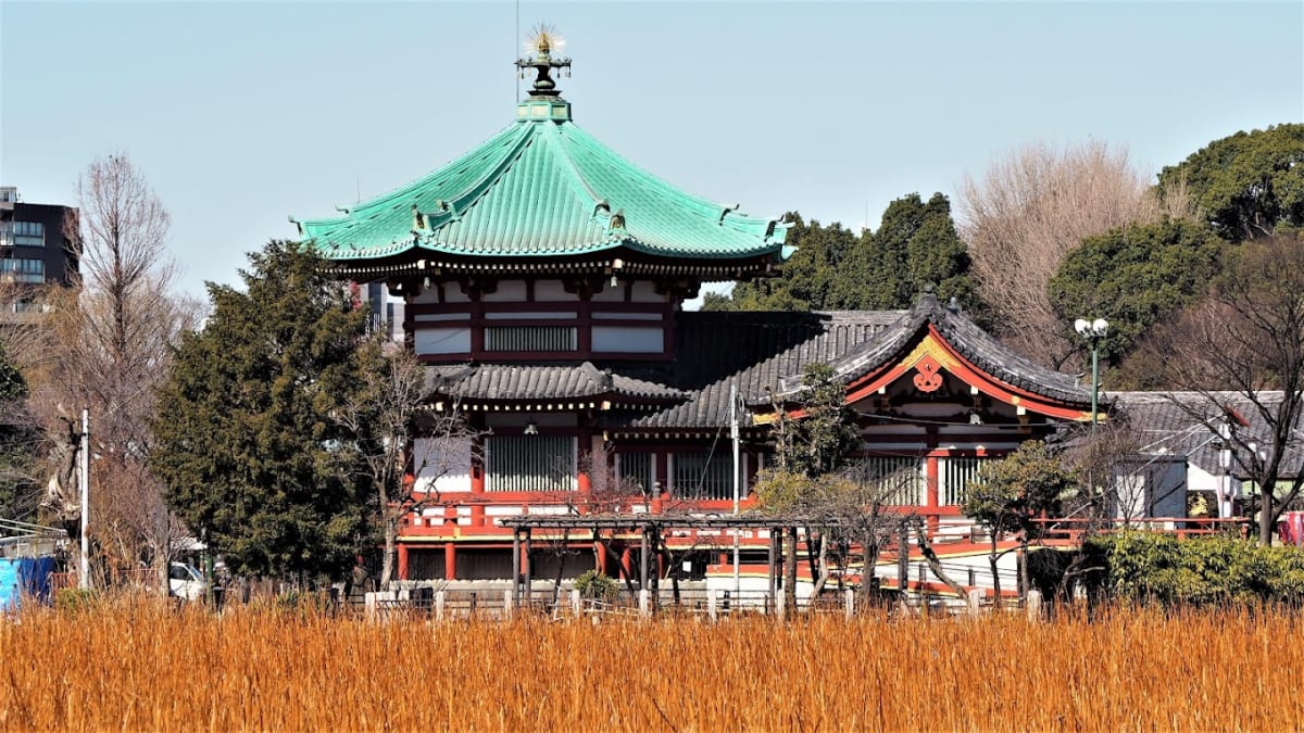 Private tour: Shinobazu-no-ike Bentendo with local guide - Image 1
