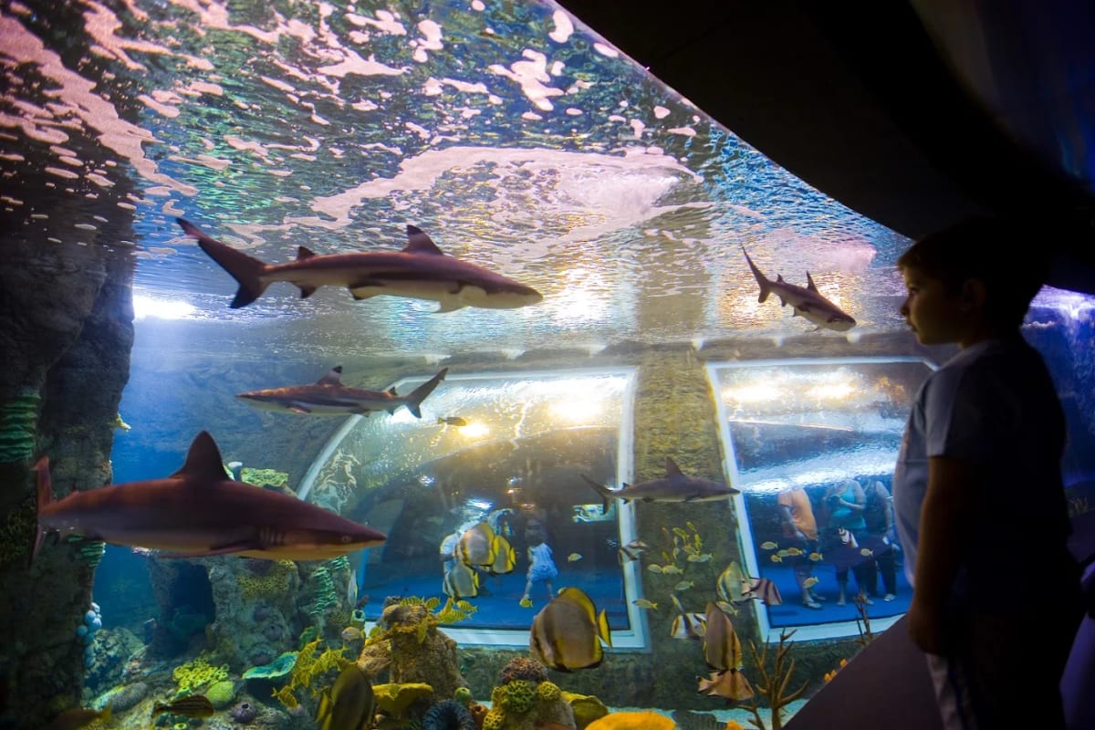 Private tour: Parque de las Ciencias y Biodomo with local guide - Image 1