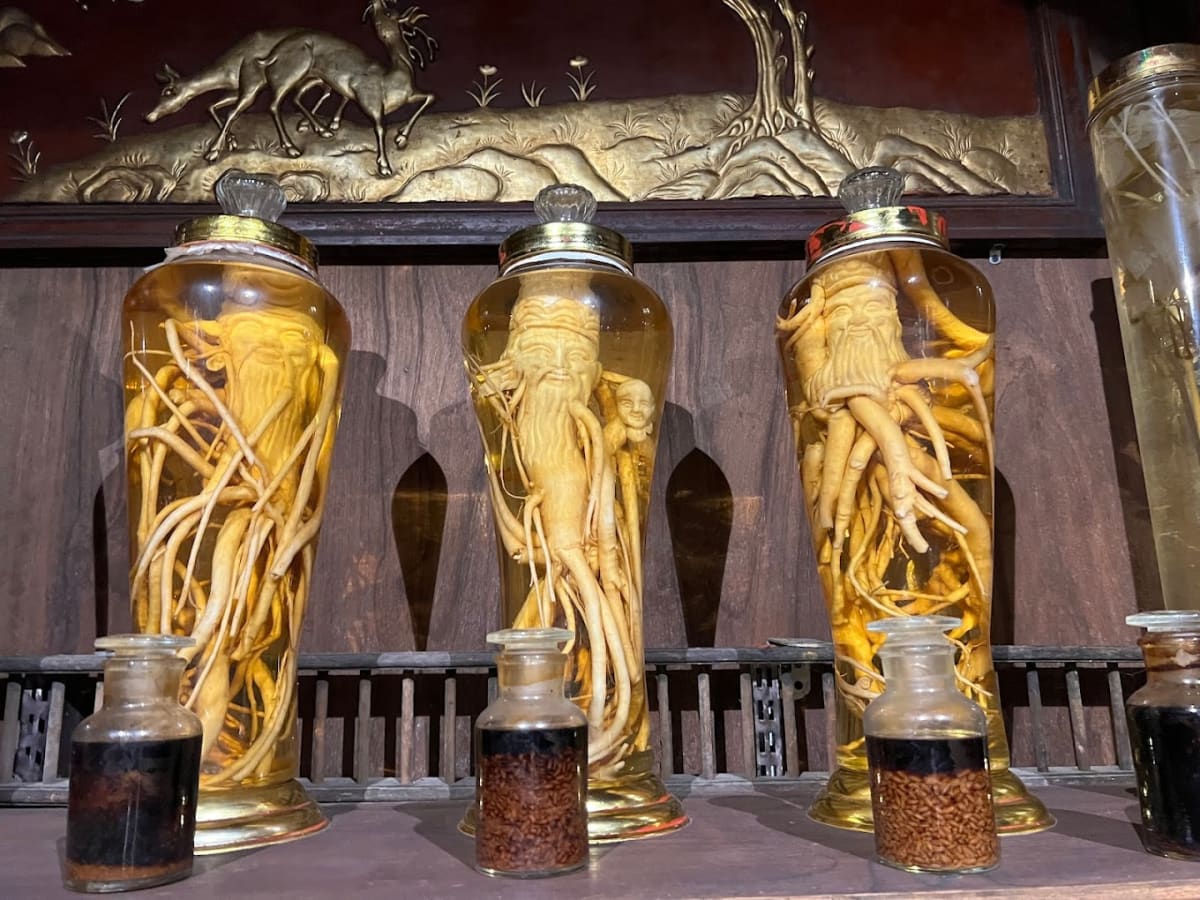 Private tour: Museum of Traditional Vietnamese Medicine with local guide - Image 1