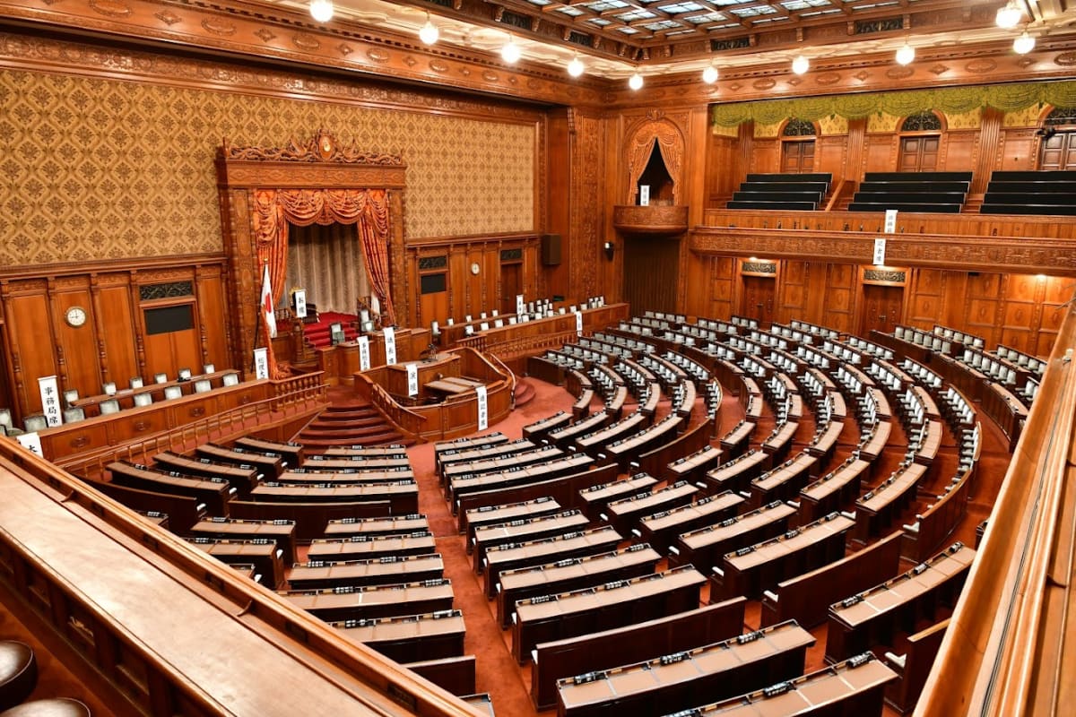 Private tour: National Diet Building with local guide - Image 1