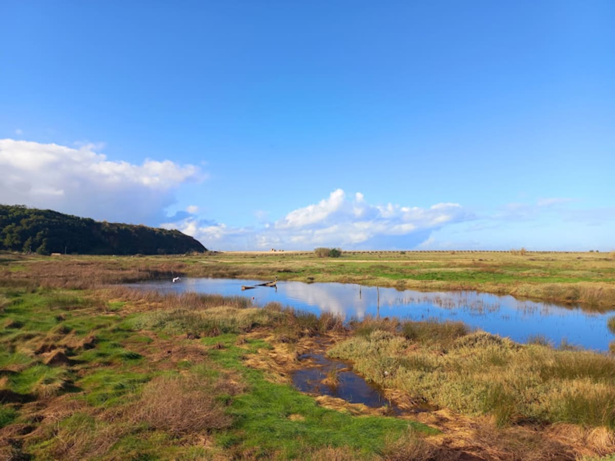 Douro Estuary