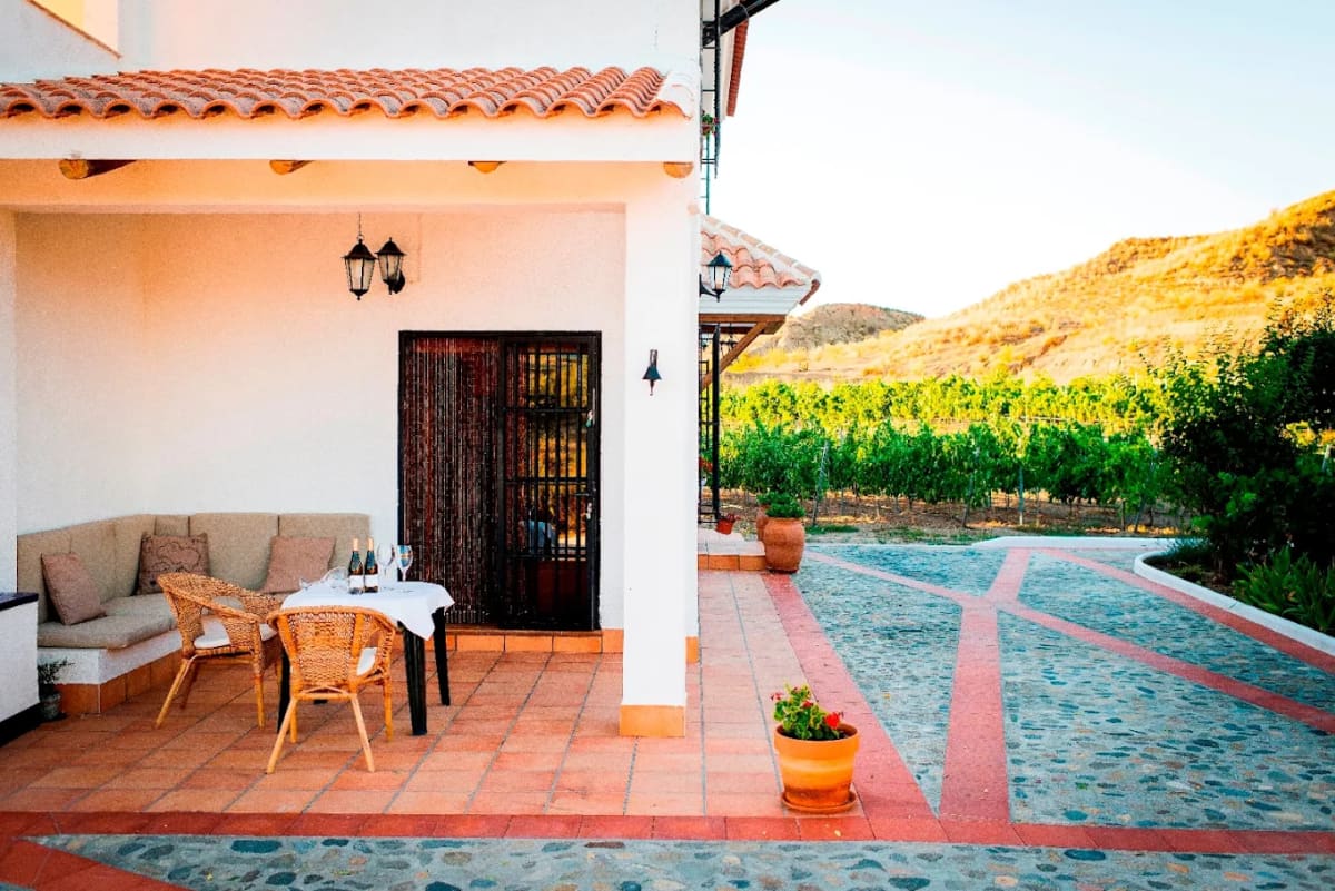 Private tour: Bodegas Vilaplana with local guide - Image 1