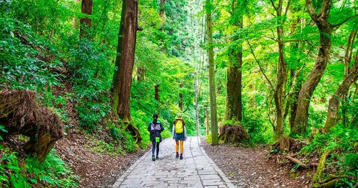 Private tour: Takaosan (Mount Takao) with local guide - Image 1