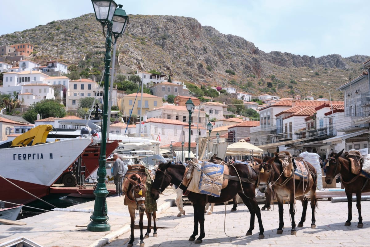 Private tour: Hydra with local guide - Image 1