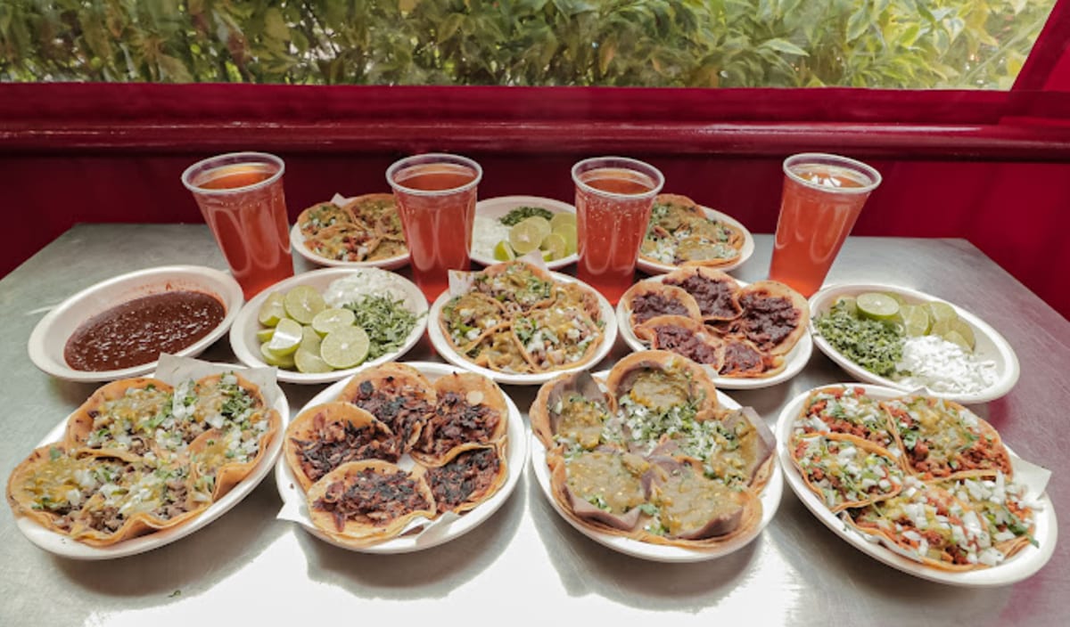 El Borrego Viudo