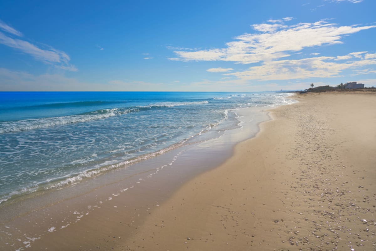 Private tour: El Saler Beach and Albufera Natural Park with local guide - Image 1