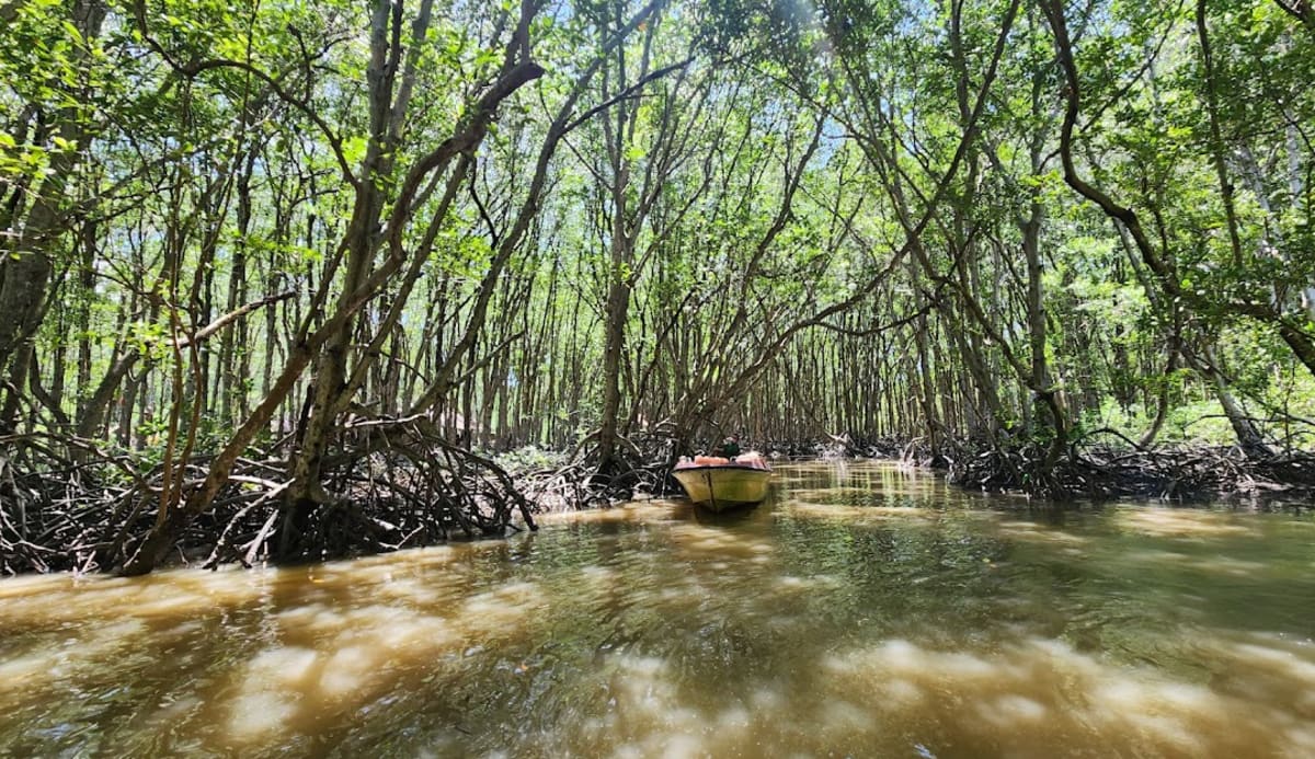 Cần Giờ Mangrove Biosphere Reserve