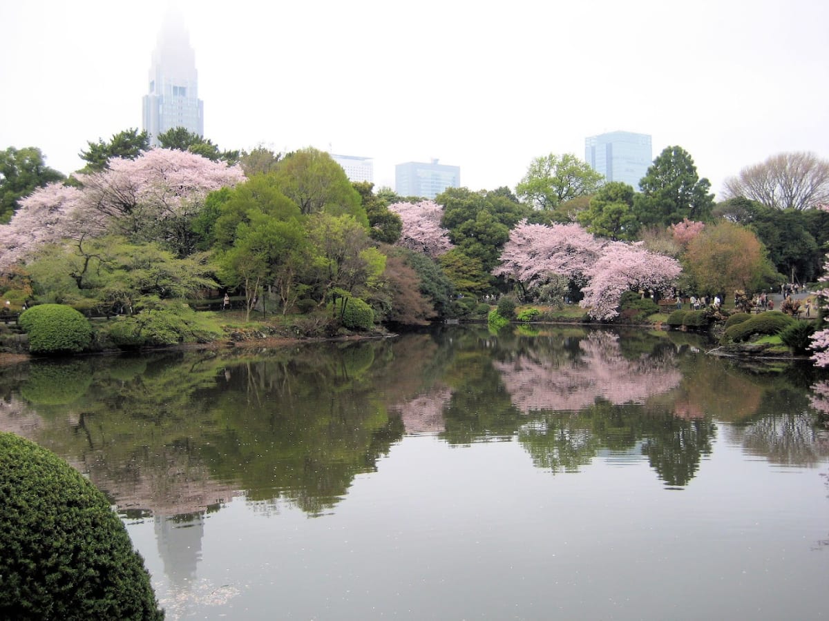 Shinjuku Gyoen Park