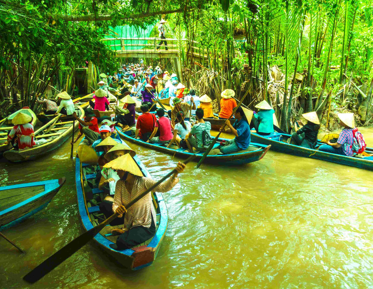Private tour: Mekong Delta with local guide - Image 1