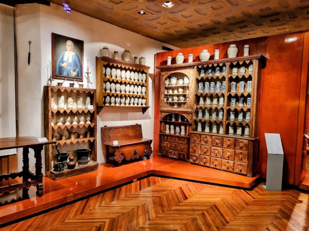 Private tour: Franz Mayer Museum with local guide - Image 1