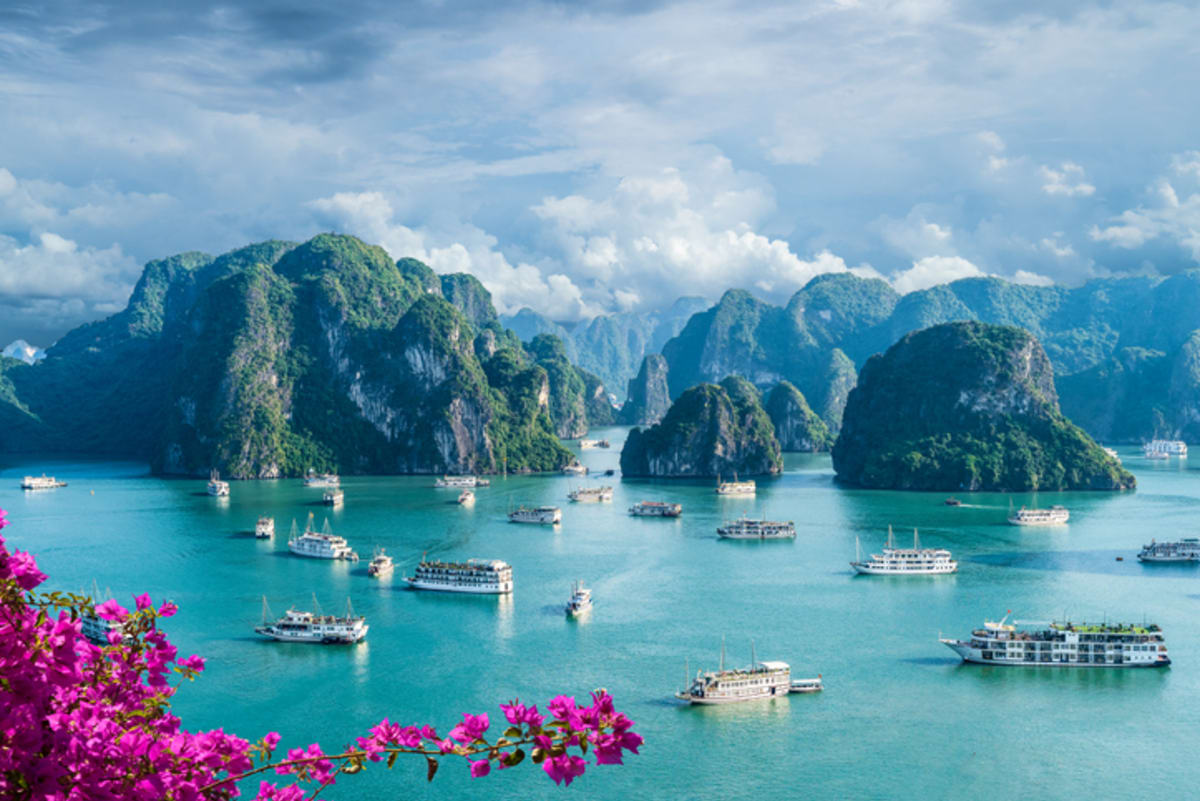 Private tour: Ha Long Bay with local guide - Image 1