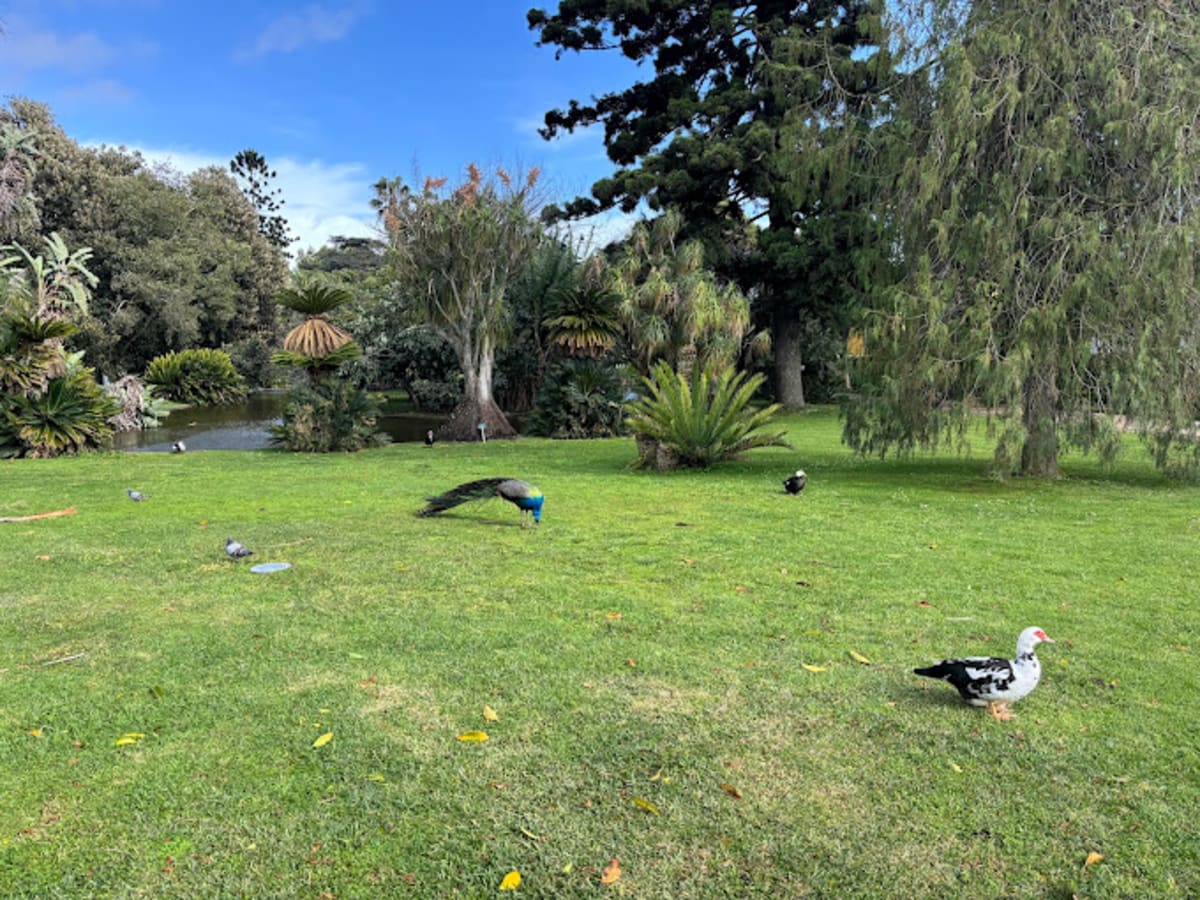Jardim Botânico Tropical