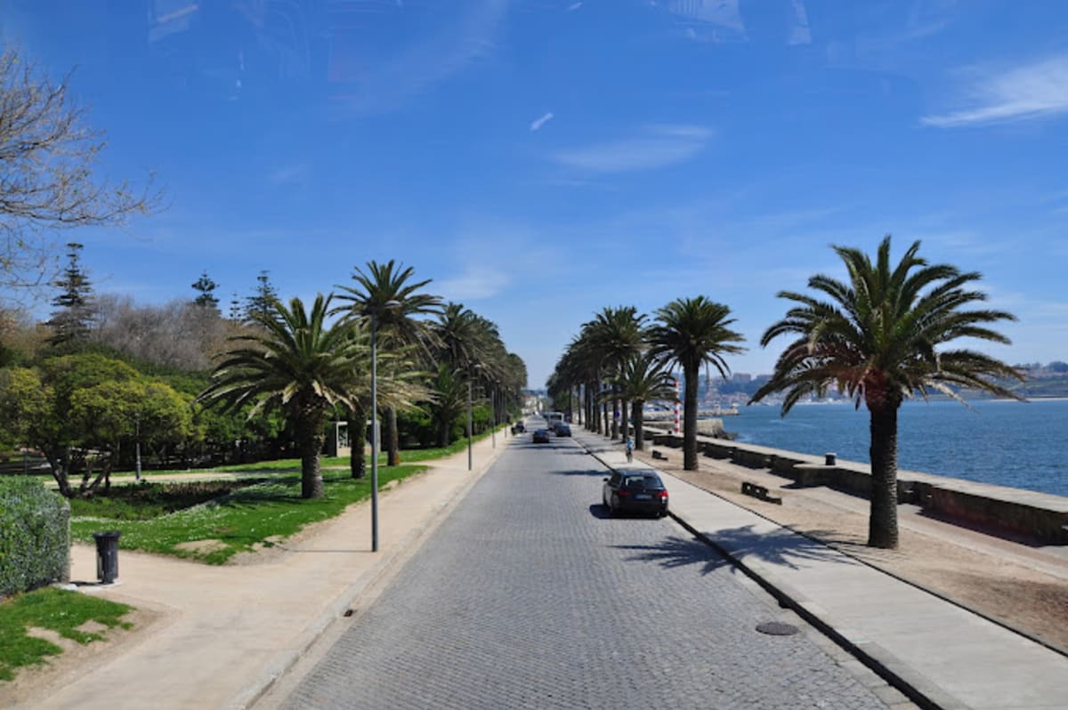 Private tour: Jardim do Passeio Alegre with local guide - Image 1