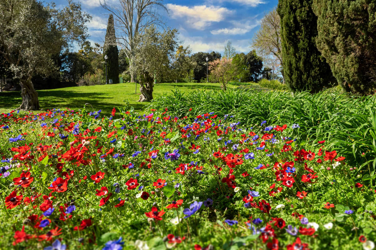 Private tour: Jardins de Mossèn Cinto Verdaguer with local guide - Image 1
