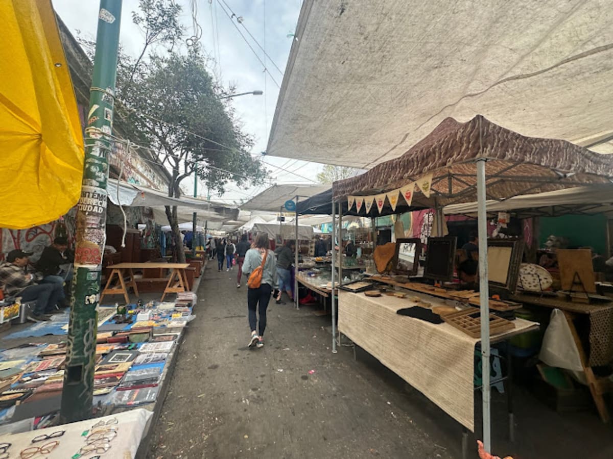 Private tour: La Lagunilla Market with local guide - Image 1