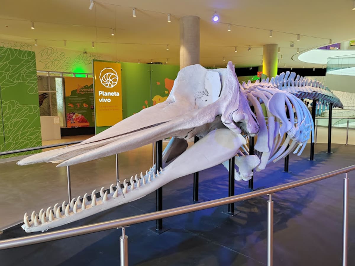 National Pavilion of Biodiversity