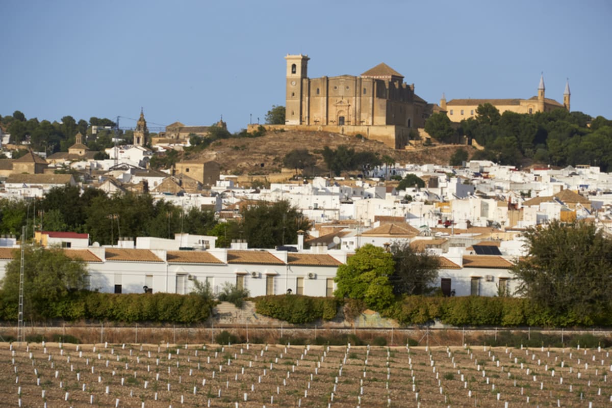 Private tour: Osuna with local guide - Image 1