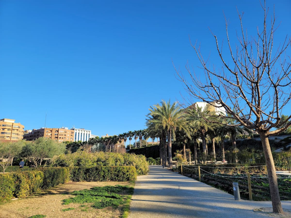 Private tour: Parc Central with local guide - Image 1