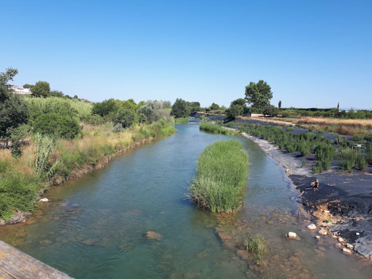 Parc Fluvial del Turia