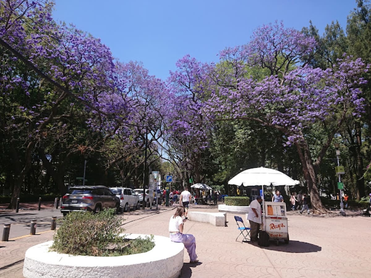 Parque México