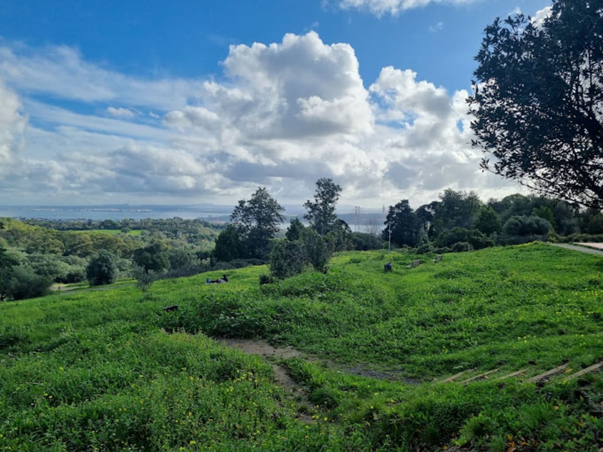 Parque de Monsanto