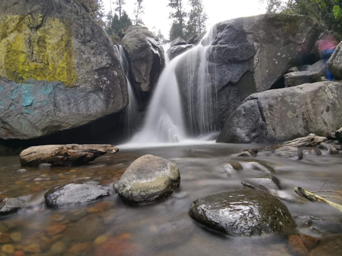 Cumbres del Ajusco National Park