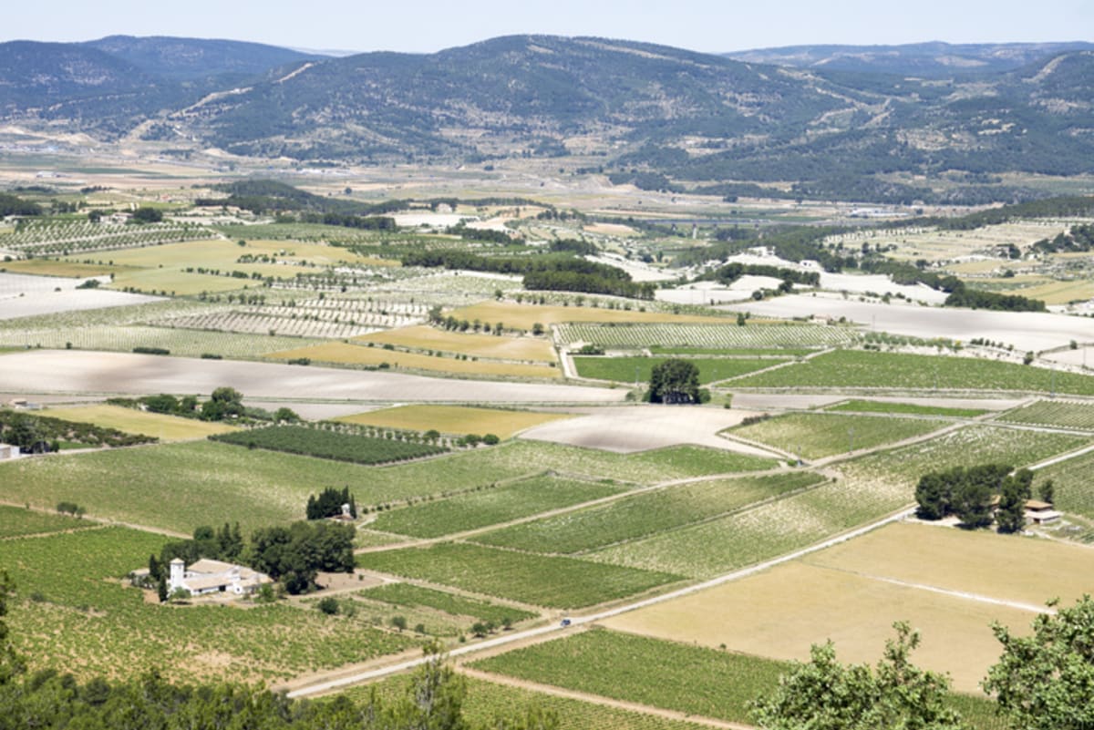 Private tour: Terres dels Alforins with local guide - Image 1