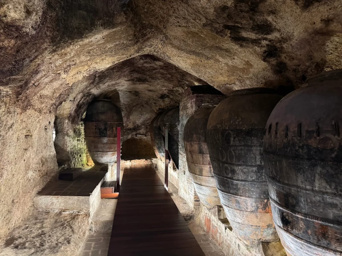 Private tour: Valencia Half-Day Wine Tour (5 hours) with local guide