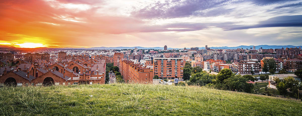 Private tour: Panoramic Madrid and Retiro Park Tour (4 Hours) with local guide