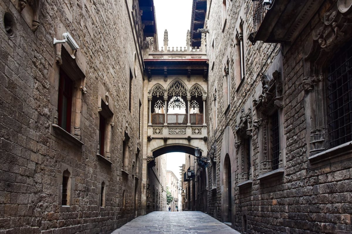 Private tour: Introduction to Barcelona's Old City Tour (2 hours) with local guide