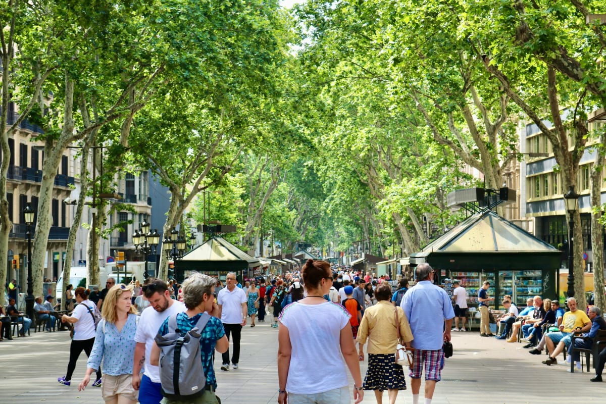 Private tour: The Heart of the City: History and Culture Private Tour (3 Hours) with local guide