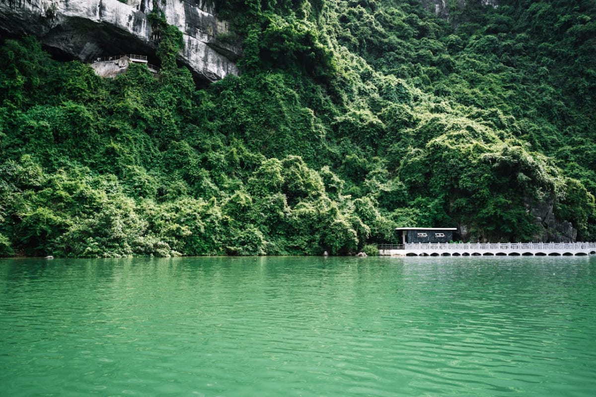 Private tour: Day Trip to Ninh Binh: Dancing Cave, Tam Coc Boat Trip, and Bicycle Tour (9.5-10 Hours) with local guide