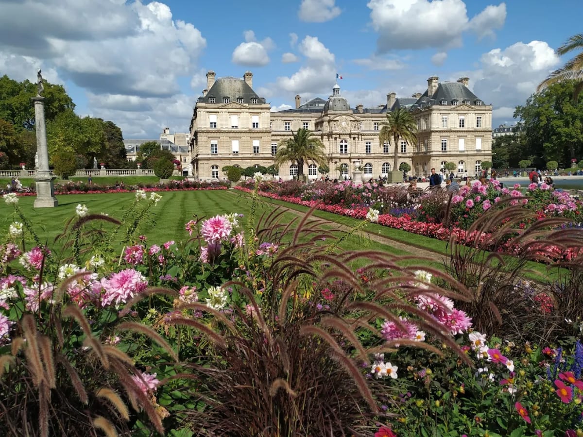 Private tour: Left Bank Mood & Hemingway Tour (2.5 Hours) with local guide