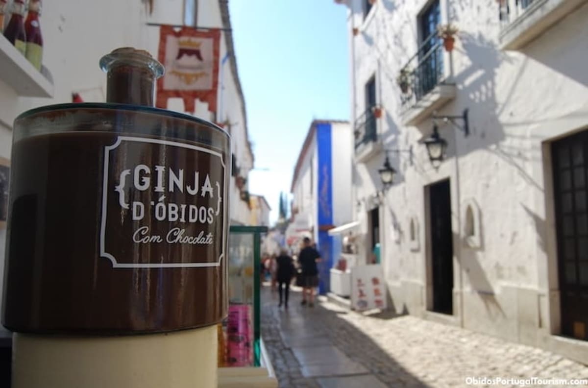 Private tour: Day trip to Óbidos and Tomar with Private Transportation (up to 3 guests) (8 Hours) with local guide