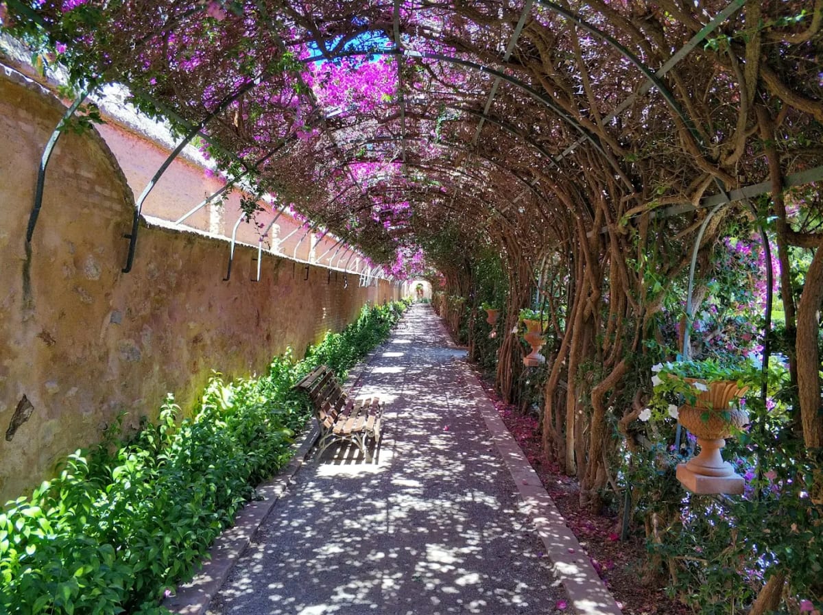 Private tour: Valencia Contemporary Architecture, Gardens & History Tour (4 Hours) with local guide