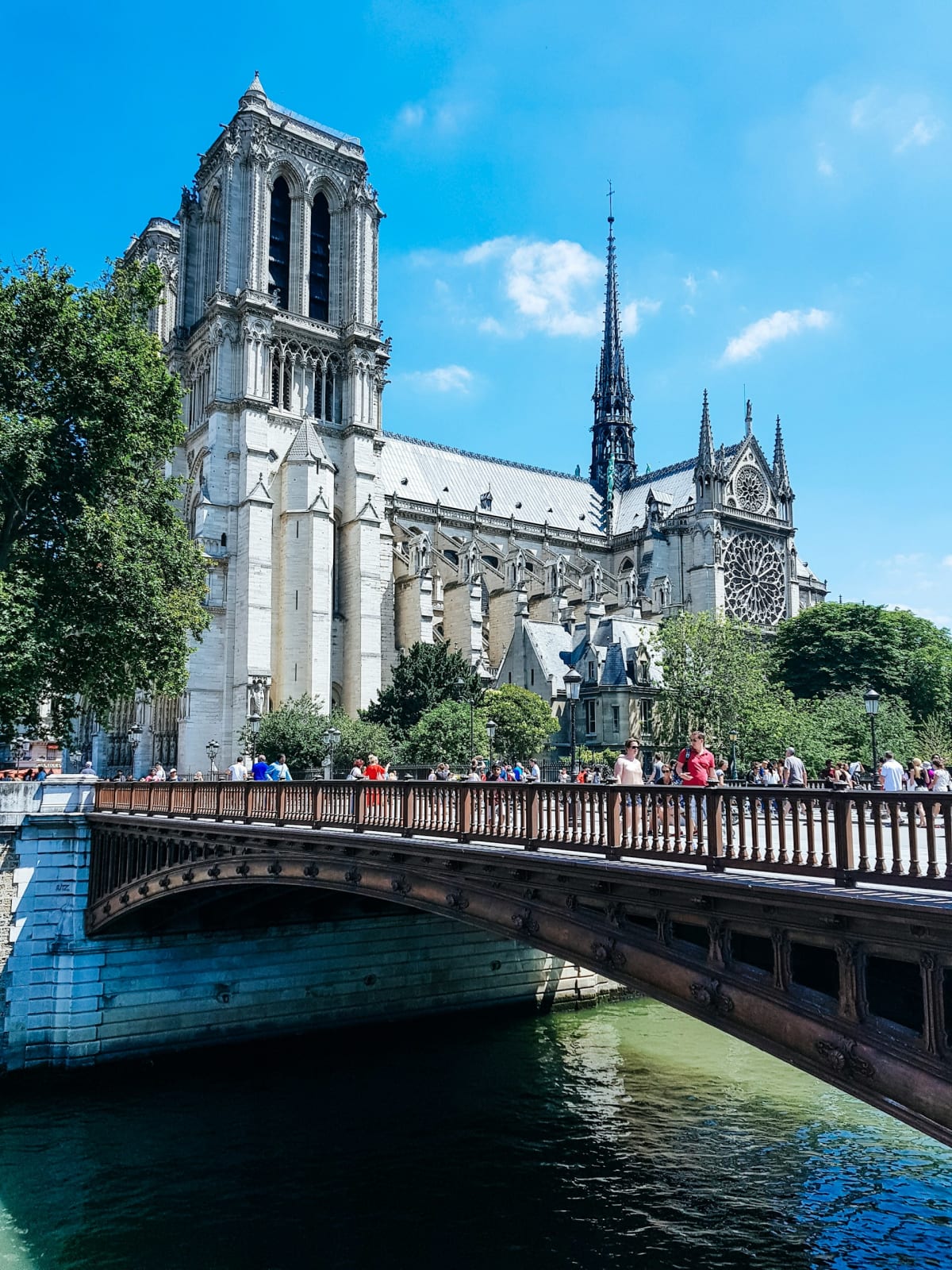 Private tour: Île de la Cité & Latin Quarter – Where Paris Began (3 Hours) with local guide