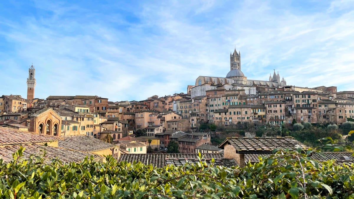 Private tour: Siena Uncovered - Art, Identity and Tradition (9 Hours) with local guide