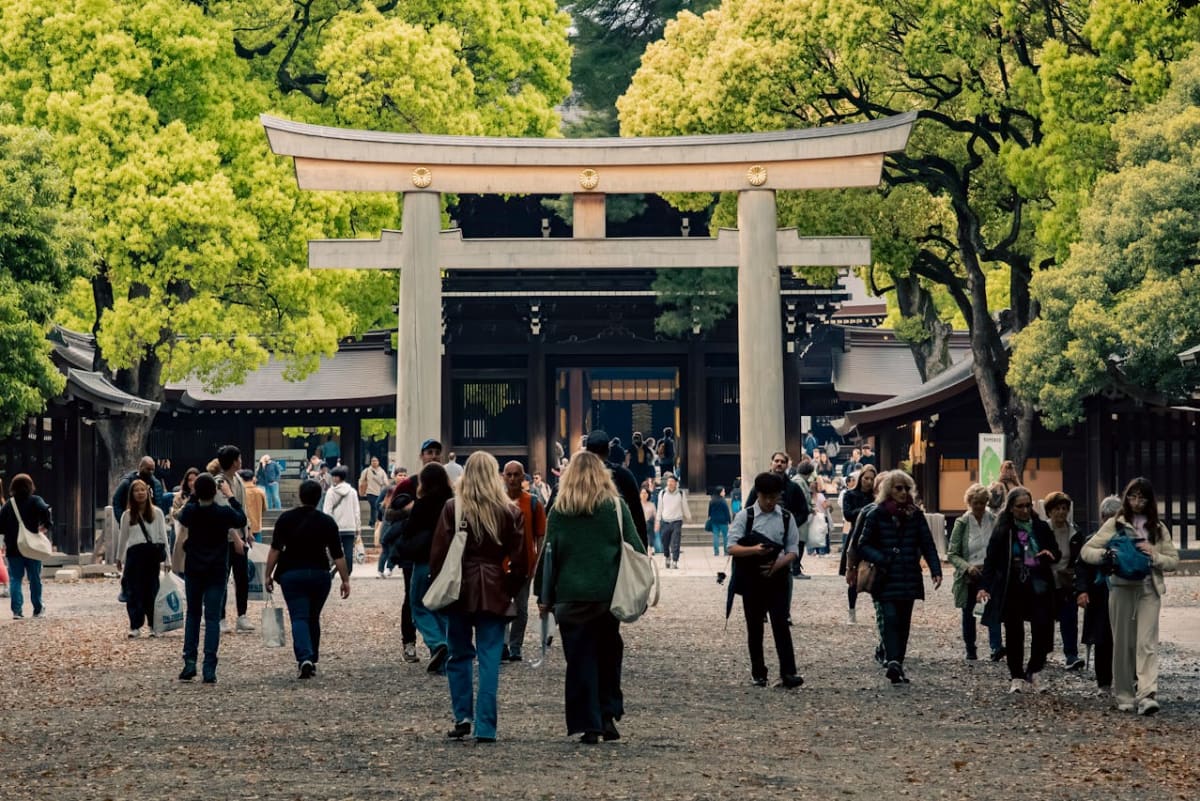 Private tour: Contrast of Old and New, Shibuya Tour (6 Hours)  with local guide